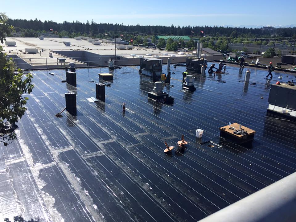 Crew coating a large commercial flat roof with a protective membrane